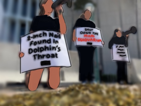 Protesting for closure, individuals in People for the Ethical Treatment of Animals (PETA) spread awareness on how a 3-inch nail was found in a dolphins throat. 